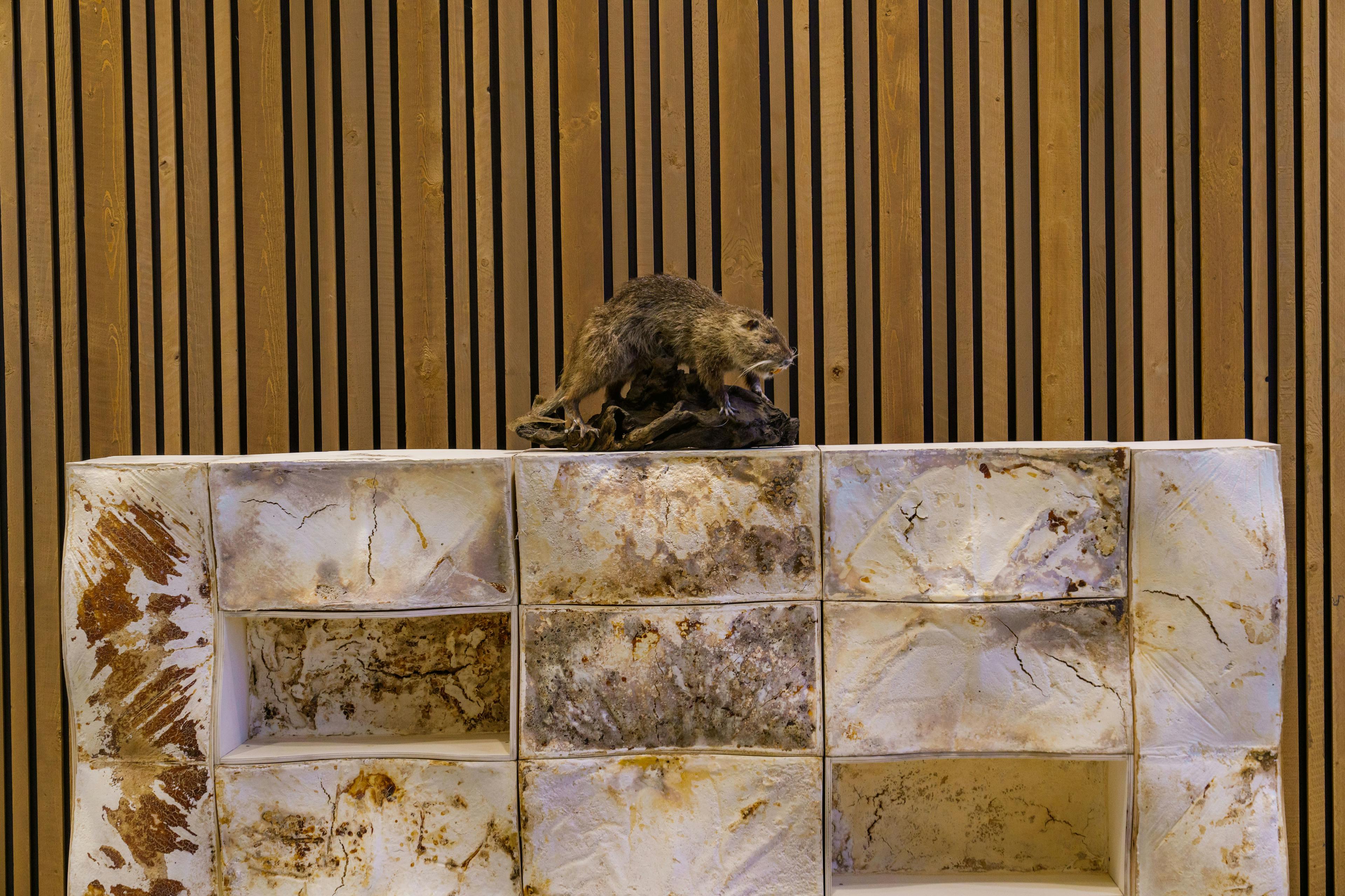 Mycelium roomdividers door Studio Cartier. Foto gemaakt door Remco Zwinkels